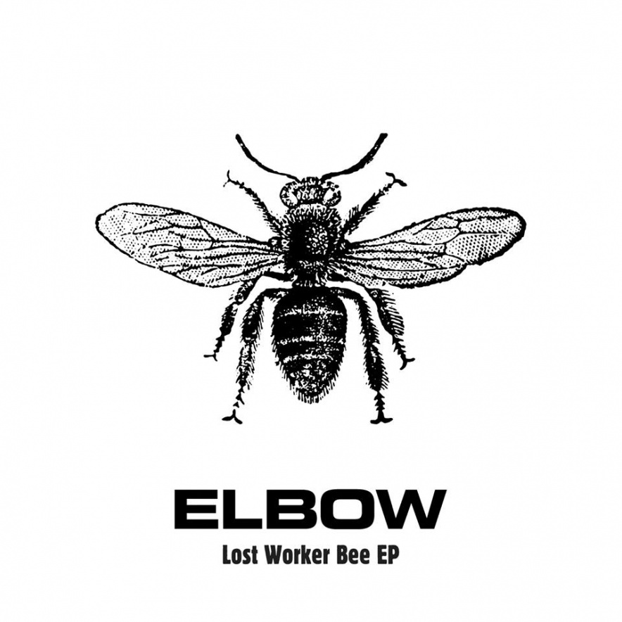 elbow-lostep