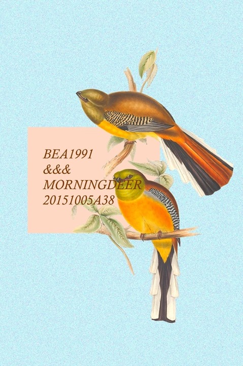 bea-morningdeer