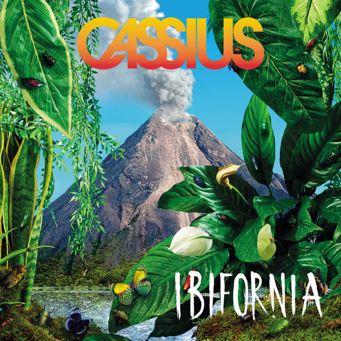 cassius-ibifornia